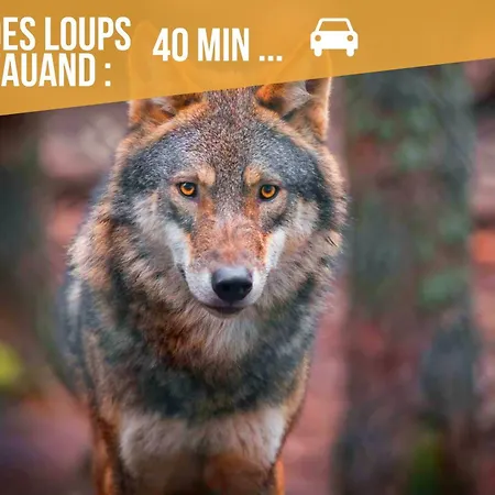Le Goldenleaf - Netflix/wi-fi Fibre - Sejour Lozere Mende
