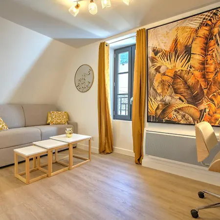 Apartment Le Goldenleaf - Netflix/wi-fi Fibre - Sejour Lozere Mende