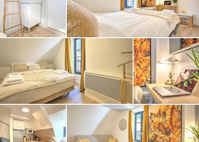 Appartement Le Goldenleaf - Netflix/wi-fi Fibre - Lozère Mende